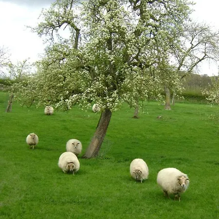 Vakantiehuis Hoeve Schevey