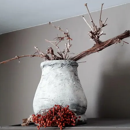 Nyaraló Hoeve Schevey