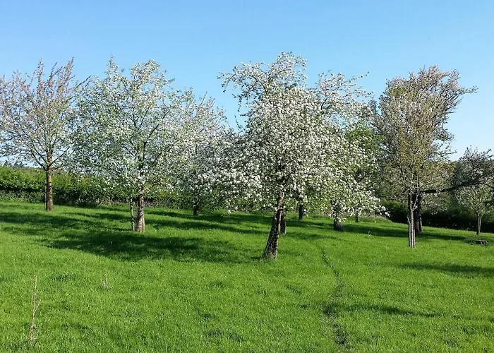 Vakantiehuis Hoeve Schevey Mechelen